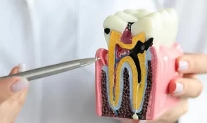 Endodontia